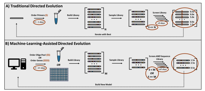 KevinKaichuang's tweet photo. The cost of gene synthesis prevents machine-learning guided directed evolution from reaching it's full potential. 

A very nice perspective by the inimitable Bruce Wittmann. https://t.co/11wcpn6IJU
