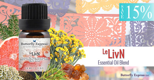 BEessentialoils's tweet photo. Save now on LivN essential oil. Cleanse your liver, eliminate toxins, and restore your natural resilience for less.
https://t.co/aeGQ7ofGtA
#ButterflyOils #EssentialOils #September2026 #Liver https://t.co/RidSguLyBo