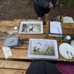 Photo by Lesser Slave Watershed Council (@abLSWC)