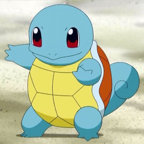 acervosquirtle's tweet photo. 🚨🔎: Vocês sabiam que o squirtle é uma tartaruga 🐢? https://t.co/7aDhB26mQF