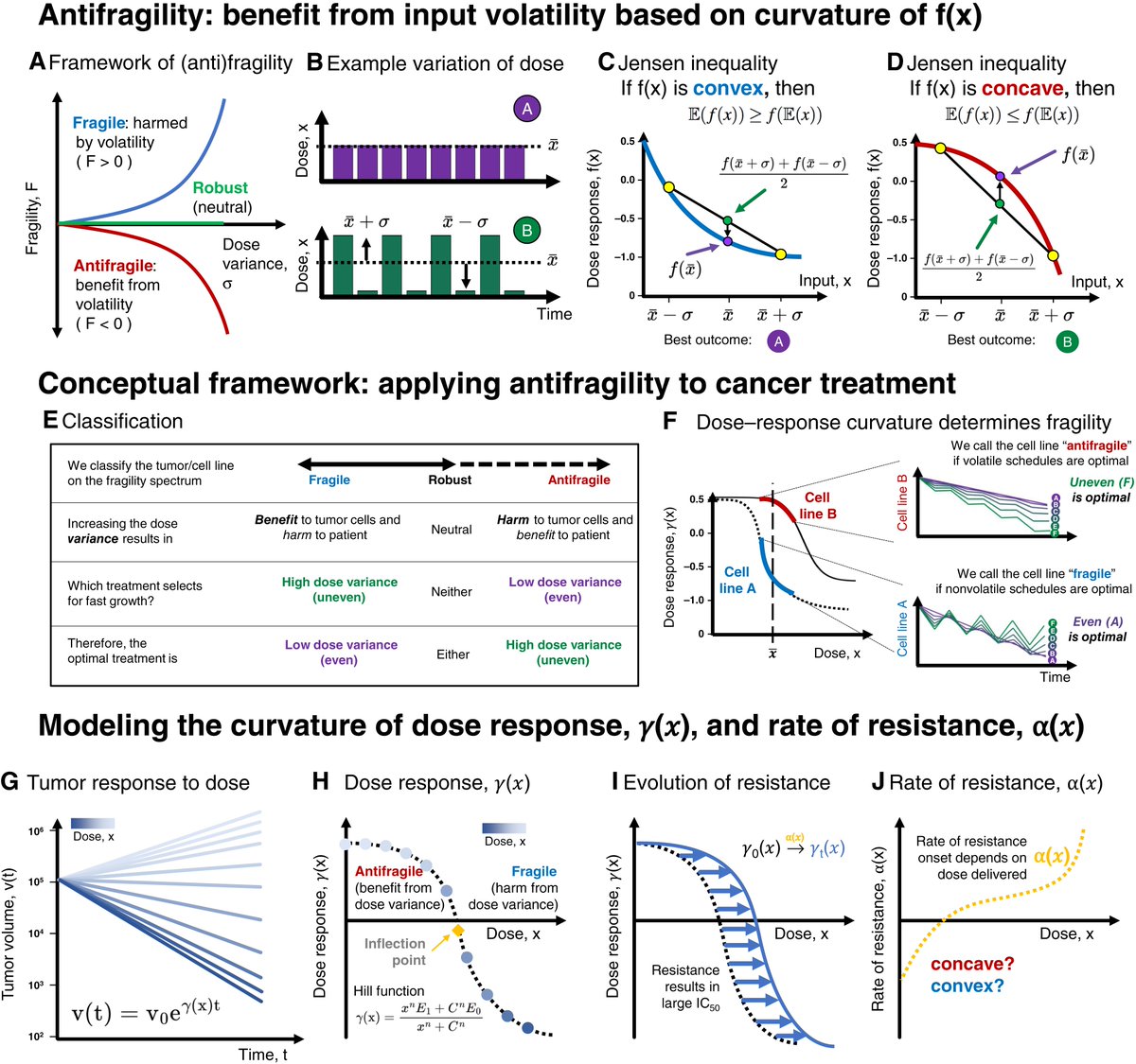 CR_AACR's tweet photo. New in Convergence Science from the September 1 issue—Evolutionary Antifragile Therapy Is a Treatment Strategy to Suppress Drug Resistance by Exploiting Dose–Response Convexity https://t.co/8dJSX5NQyM @mathoncbro @ara_anderson #MathOnco #ComputationalMethods #TumorEvolution https://t.co/IwJQASZDcn