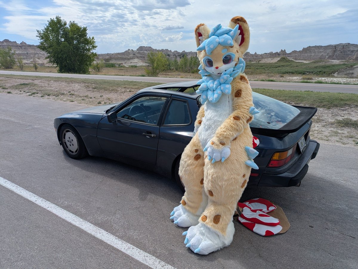 ShrimpScampe's tweet photo. 🦐I was told there was a sea out here so I went with some friends to investigate🦐
🦐Sadly it seems to have disappeared and now it's maybe a little too warm for this shrimp🦐
#FursuitEveryDay #BadlandsNationalPark https://t.co/oH48NKigW5