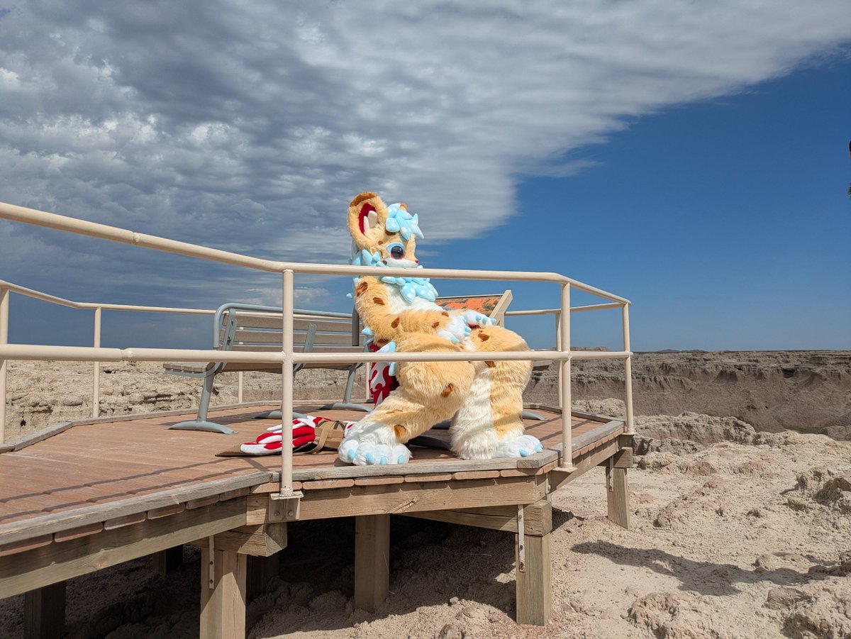 ShrimpScampe's tweet photo. 🦐I was told there was a sea out here so I went with some friends to investigate🦐
🦐Sadly it seems to have disappeared and now it's maybe a little too warm for this shrimp🦐
#FursuitEveryDay #BadlandsNationalPark https://t.co/oH48NKigW5