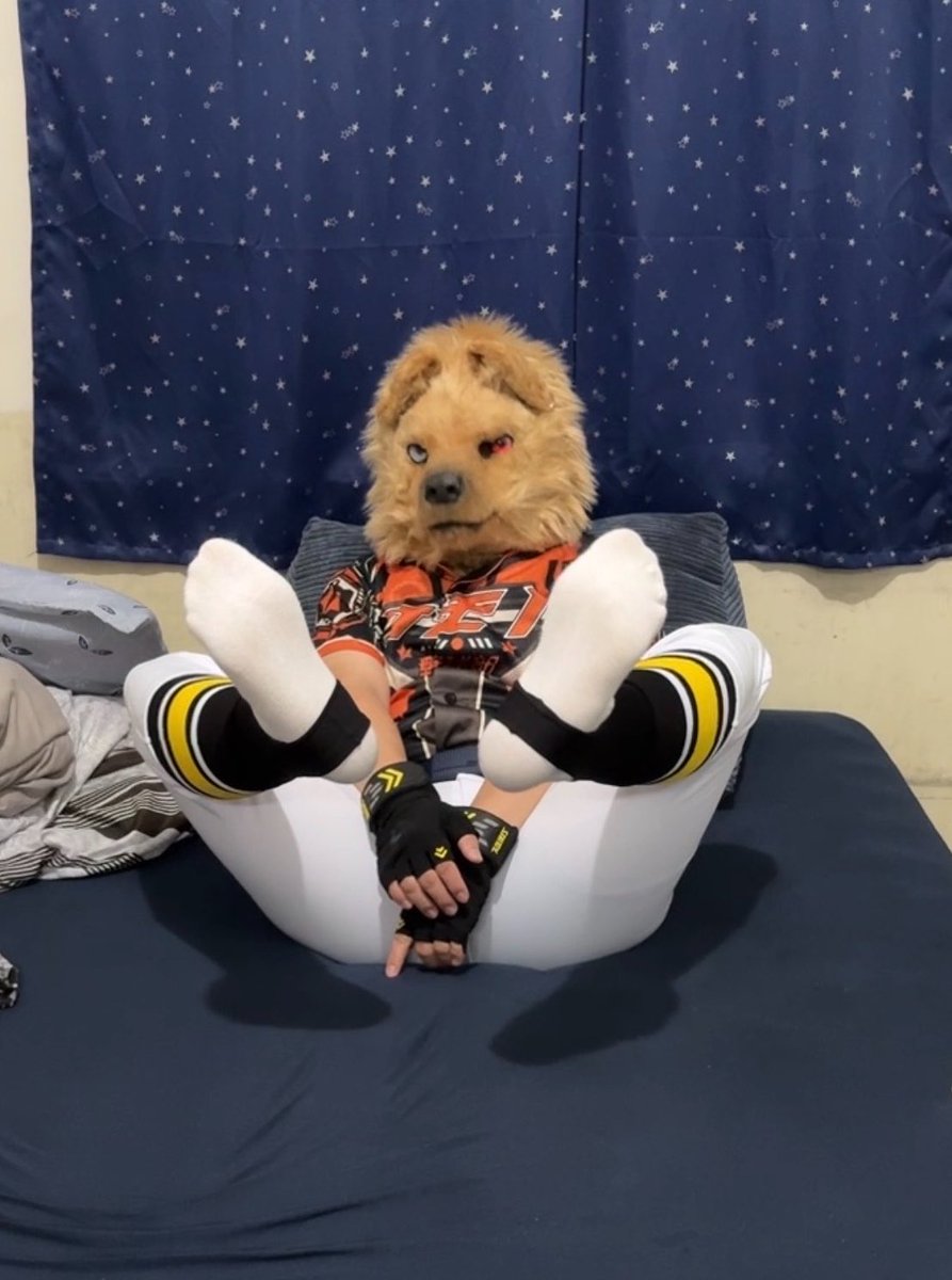 UminekoFursuit's tweet photo. Hey Coach, this stinky hyena jumped straight into bed all sweaty after practice!
Should I hose him down, or take him into overtime? 😈
#FursuitEveryday #ケモノ野球部
#Ash #Fursuit #Furry https://t.co/oIO8UixtPF