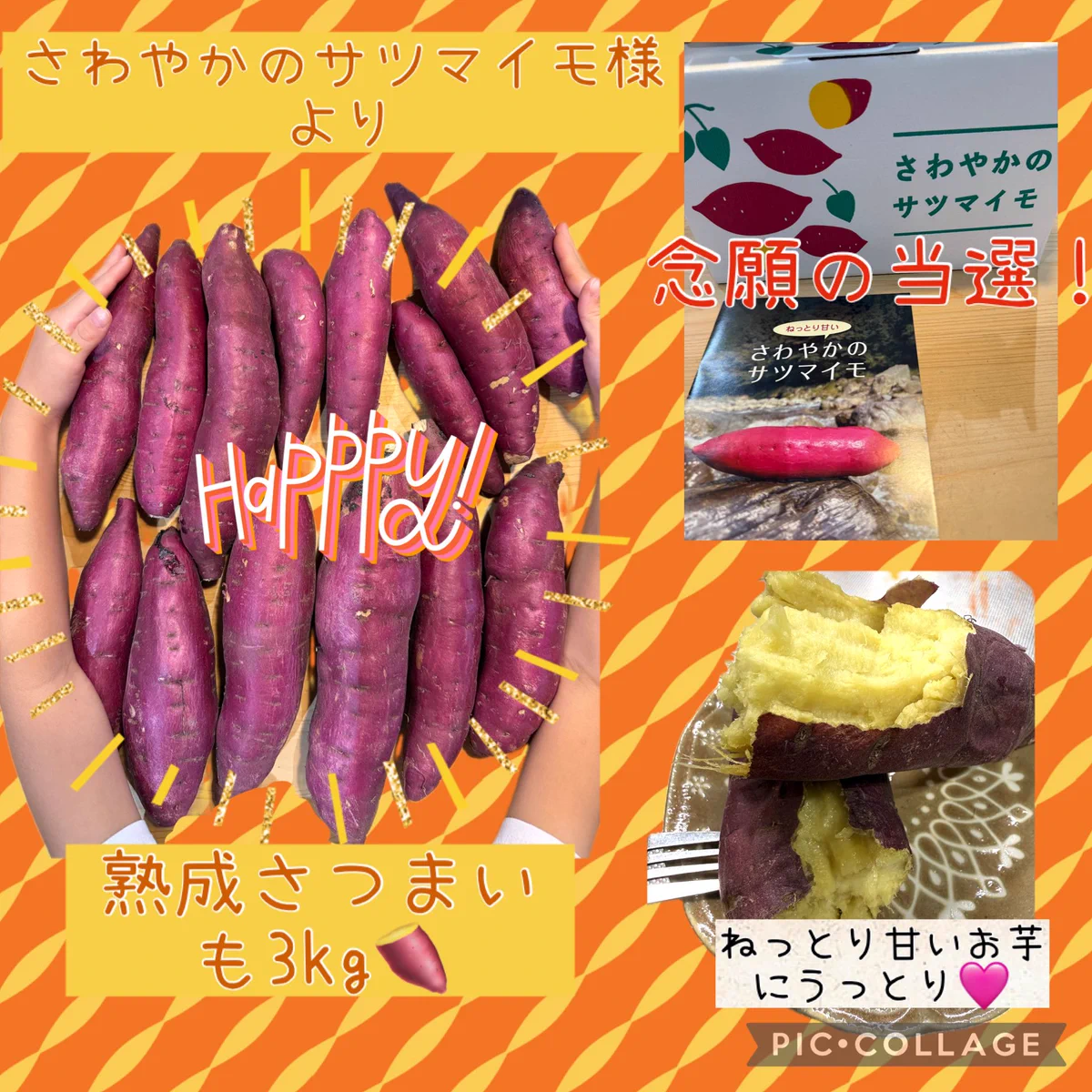 ぽんぽこ on X: 