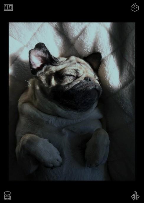 putra_arico's tweet photo. 🔏Release softly and stride boldly ahead at this moment. Later that day, I choose to make cookies. Buddy stays in the kitchen, observing me, his tail sweeping back and forth. He catches the scent of the dough, then gazes upward at me, seemingly begging for a nibble. I chuckle, o https://t.co/hxoapivLqc