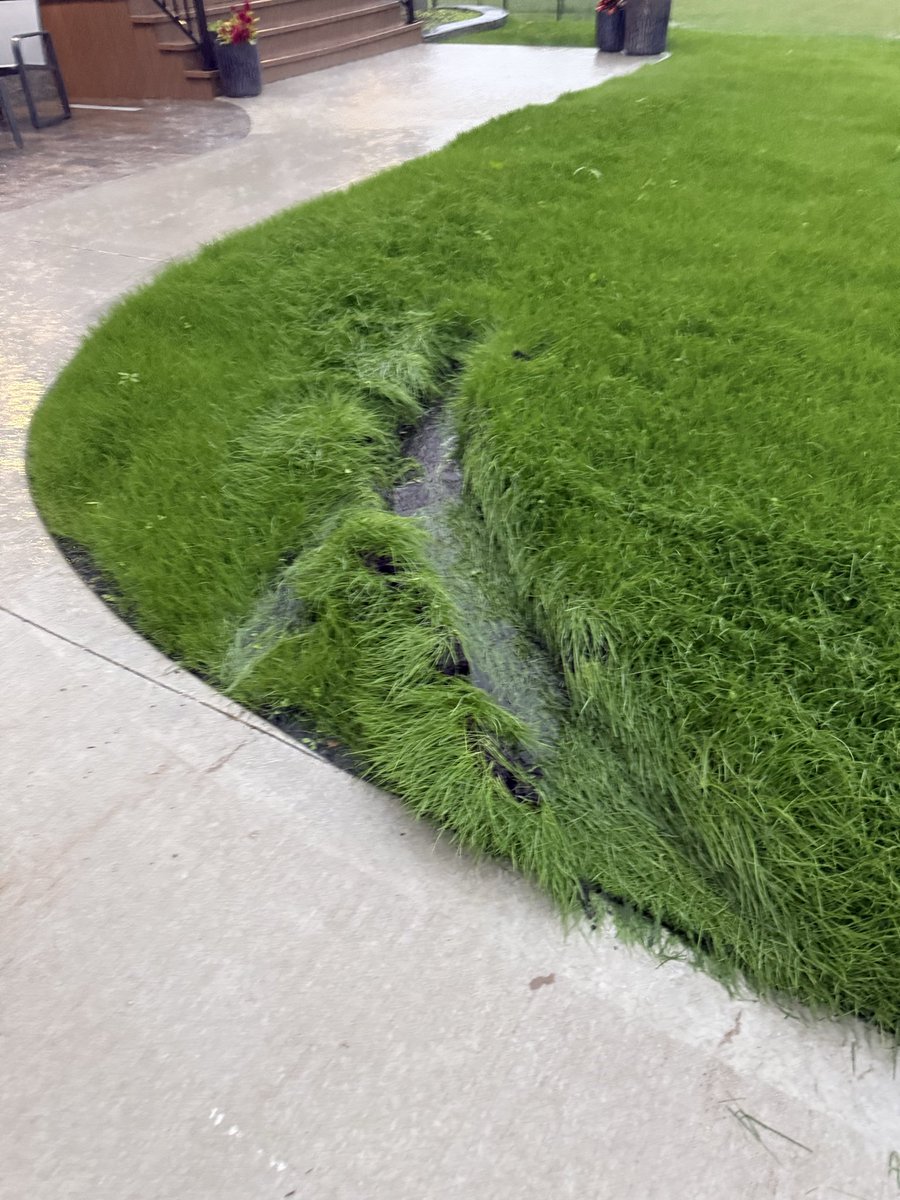 grahamfast's tweet photo. @SkipCanada A courier drove onto my newly completed lawn TWICE on Sept 6, causing significant damage. I have video &amp; photos. I chatted with support who said nothing they can do. I e-mailed Courier Support &amp; Legal. Still no response. Who handles your property damage claims? https://t.co/t9DZxUtfGS
