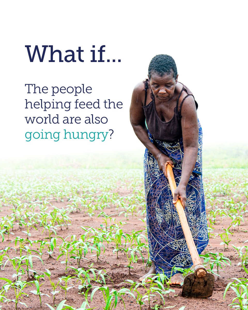 TechnoServe's tweet photo. The people who grow our food should be able to feed their own families. But for many #farmers, that still isn’t the reality. Swipe to learn more about the connection between farming, income, and food security. https://t.co/PWMfOZj1yi