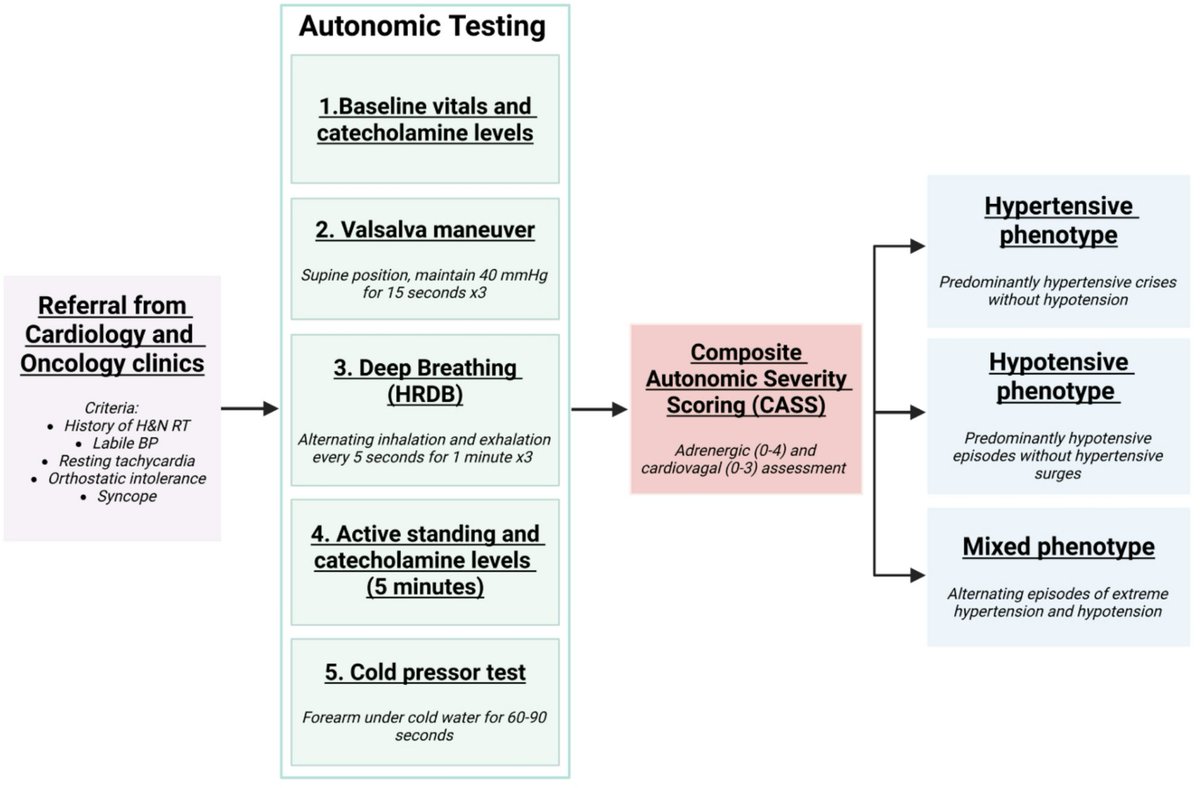 SN_Oncology's tweet photo. Recently Published in #CardioOncology🫀
Targeted autonomic testing for radiation‑induced baroreflex failure in head and neck cancer survivors: index case and early program experience
Read more➡️https://t.co/Yg7CWvHPMR #CardioOnc
@ICOSociety @EKoutroumpakis @efthimistr https://t.co/j2TzR8M1jD