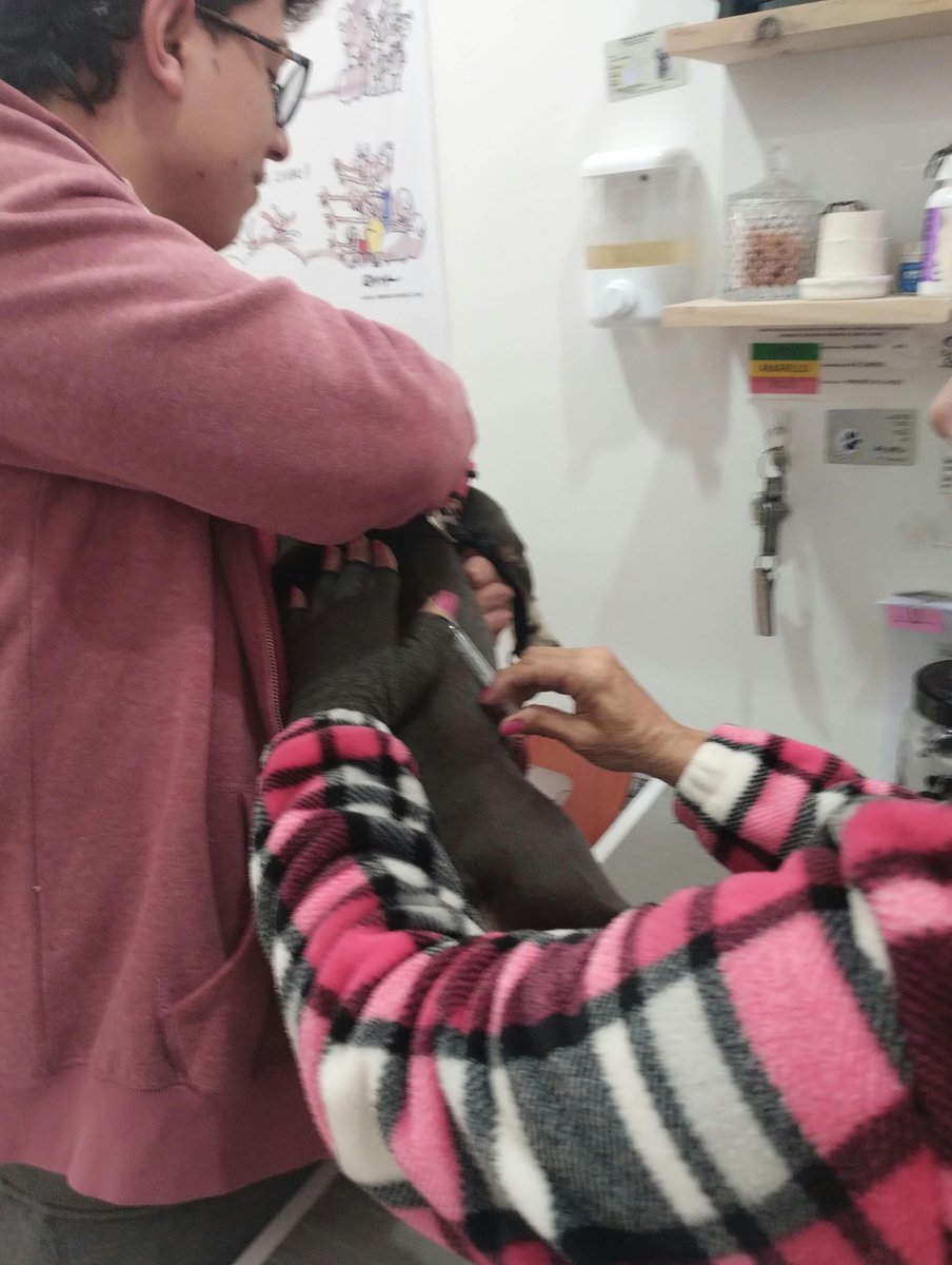 MECHG's tweet photo. La Barrilito MAKI 😻🐶😻🐶vino por vacunas veterinaria Garritas Chía Cundinamarca Colombia 3152562335 https://t.co/sqrXhQbVM7