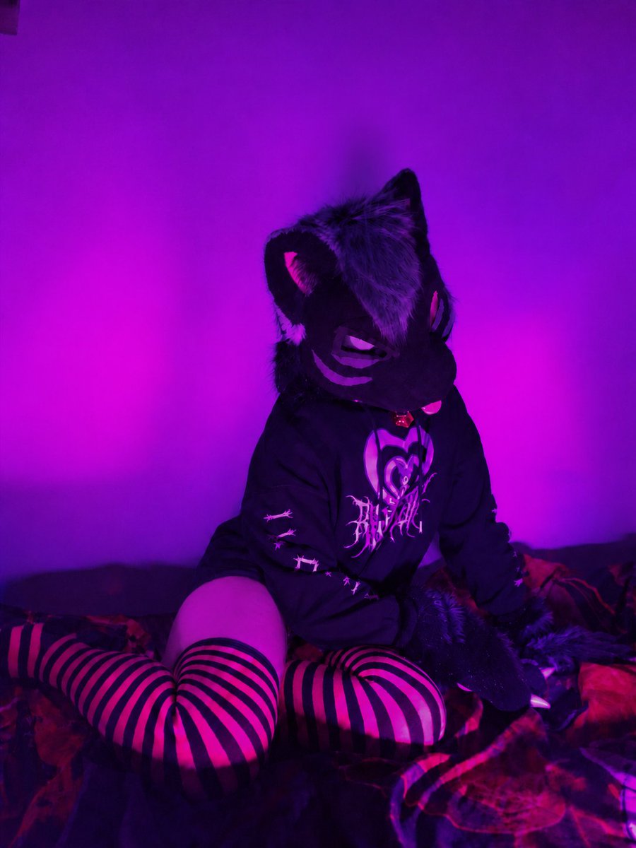 UmbraKittyCat's tweet photo. You walk in and find me sitting on the bed like this… wyd? :3 https://t.co/VqEhbXPPJV