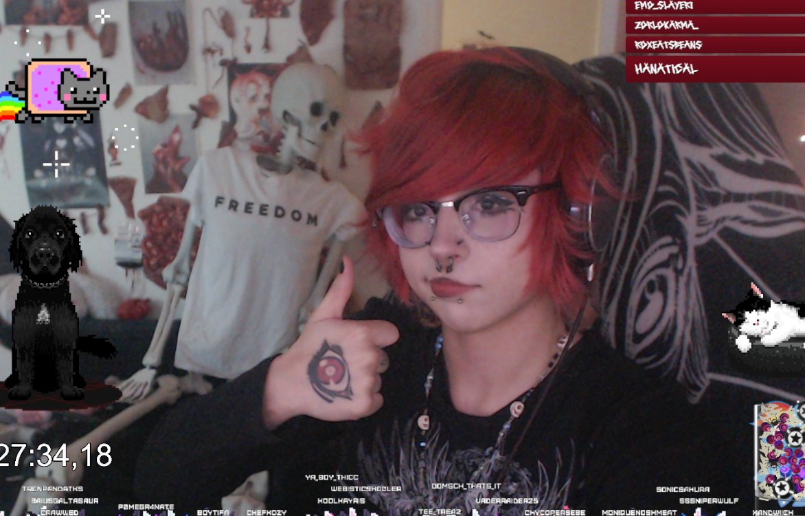 kaiisyourking's tweet photo. special guest appearance on my stream today :) https://t.co/O0CHAZoorl
