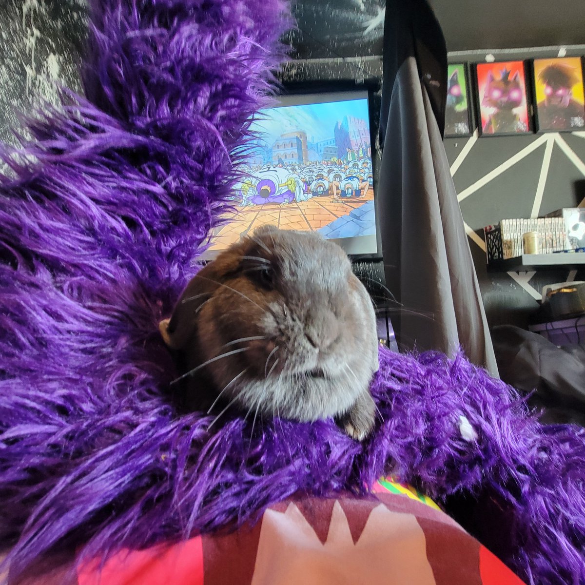 SfwManic's tweet photo. Yesterday morning was the last day my popcorn woke up she passed in my arms last night i slept on the ground with her body one last time before taking her to cremation

gonna be unresponding

It Hurts so much the idea of never touching her fur coming home and not seeing her https://t.co/Dtw80TqEPz