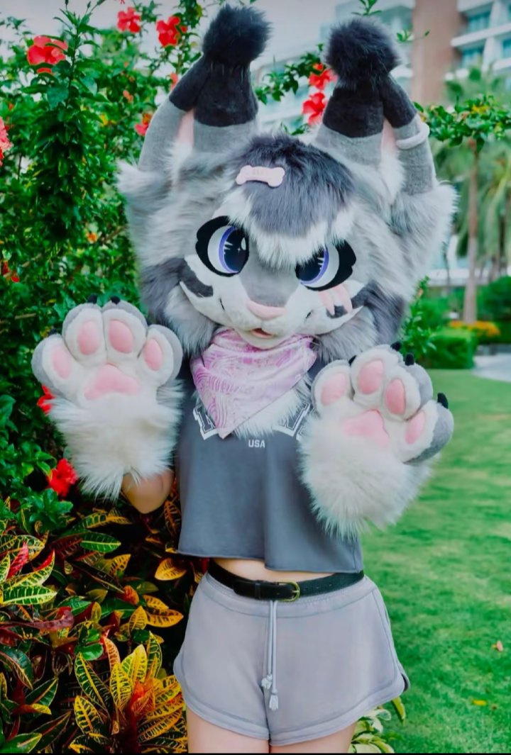 CAMILIEWEBdx's tweet photo. Nature, paws, great life #fypシ゚ #furryfyp #fursuit https://t.co/43OZ7oN0Kh