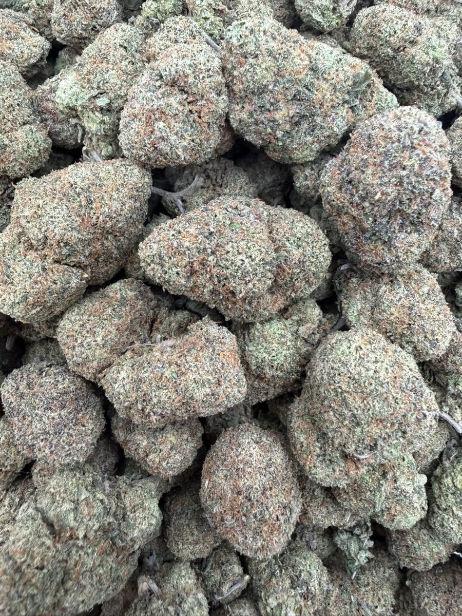Medicinemarkert's tweet photo. Nerd Ropes
Candy Nose
Shipping to all 50 states 
Hawaii, Idaho, Illinois, Indiana, IowaKansas, Kentucky, Louisiana, Maine, MarylandMassachusetts, Michigan, Minnesota, Mississippi, MissouriMontana, Nebraska, Nevada, New Hampshire, New JerseyNew Mexico, New York, North Carolina, https://t.co/cxDBIqcuNG