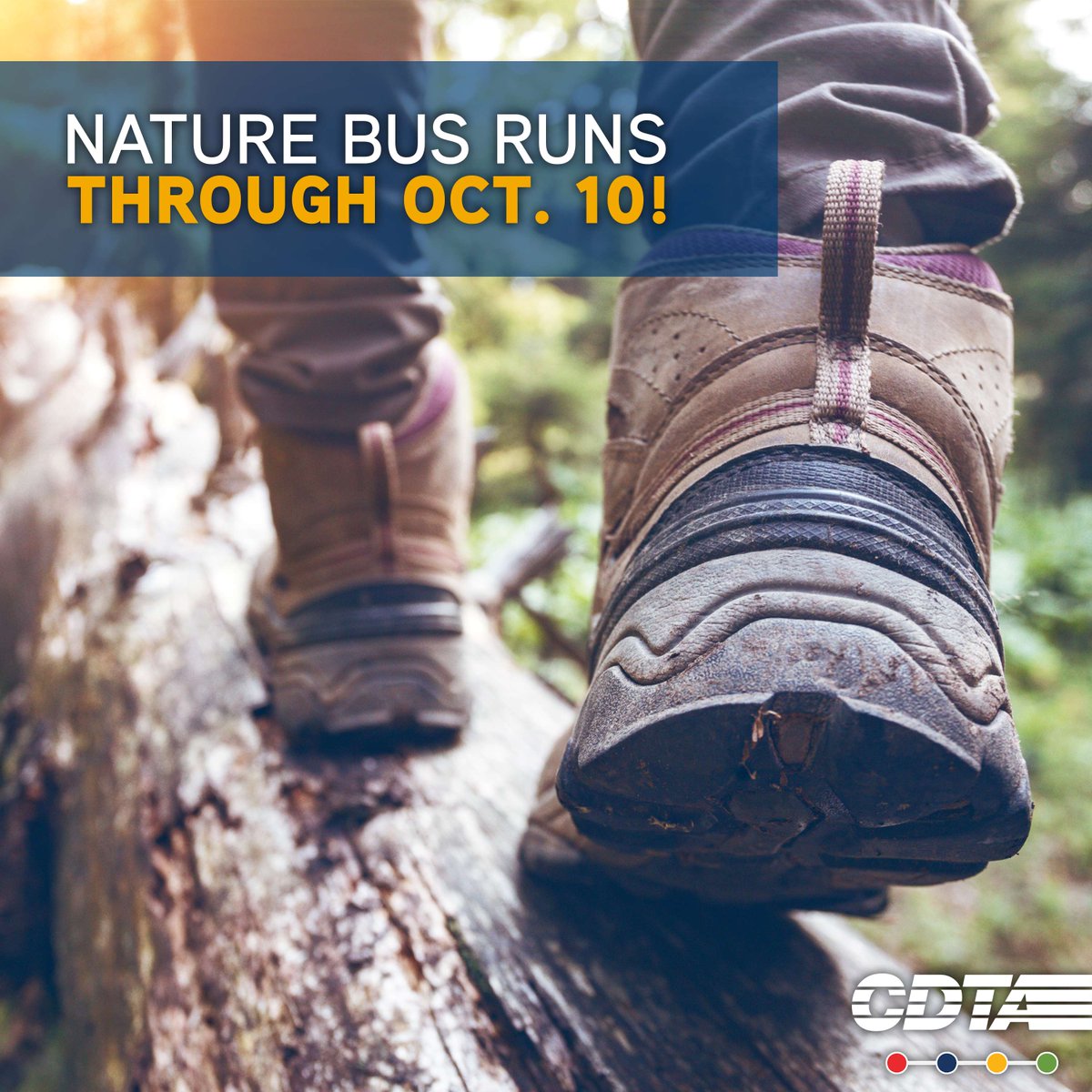 CDTA's tweet photo. Don't put the hiking boots away just yet. 🌿

The Nature Bus keeps running Saturdays through October 10, connecting Albany to Thacher State Park for free. Plus, riders get 20% off WildPlay Thacher activities with code NATUREBUS!

Check the schedule at https://t.co/QyzmRAY6cA https://t.co/gpOWgt3CG7