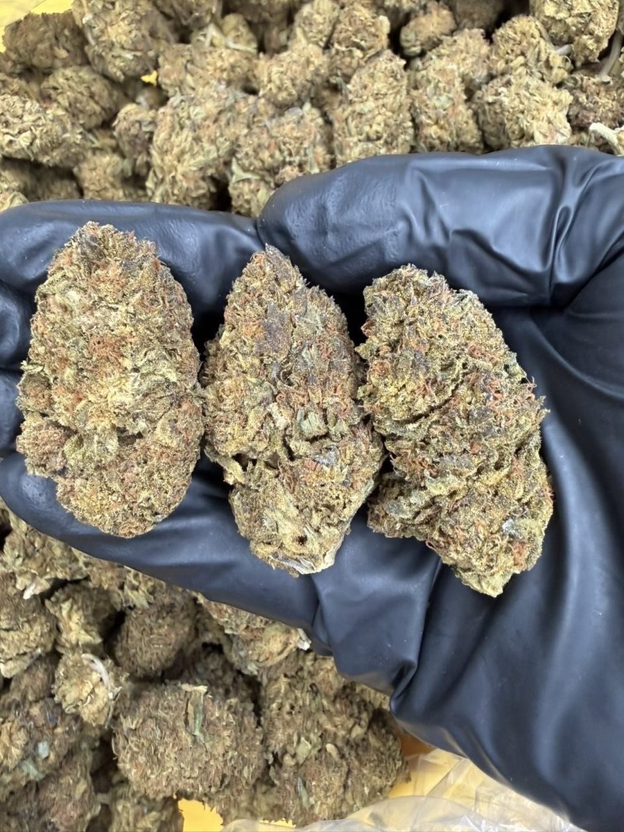 Medicinemarkert's tweet photo. Frosted M
Shipping to all 50 states 
Colorado, Connecticut, Delaware, Florida, GeorgiaHawaii, Idaho, Illinois, Indiana, IowaKansas, Kentucky, Louisiana, Maine, MarylandMassachusetts, Michigan, Minnesota, Mississippi, MissouriMontana, Nebraska, Nevada, New Hampshire, https://t.co/n82Punky4C