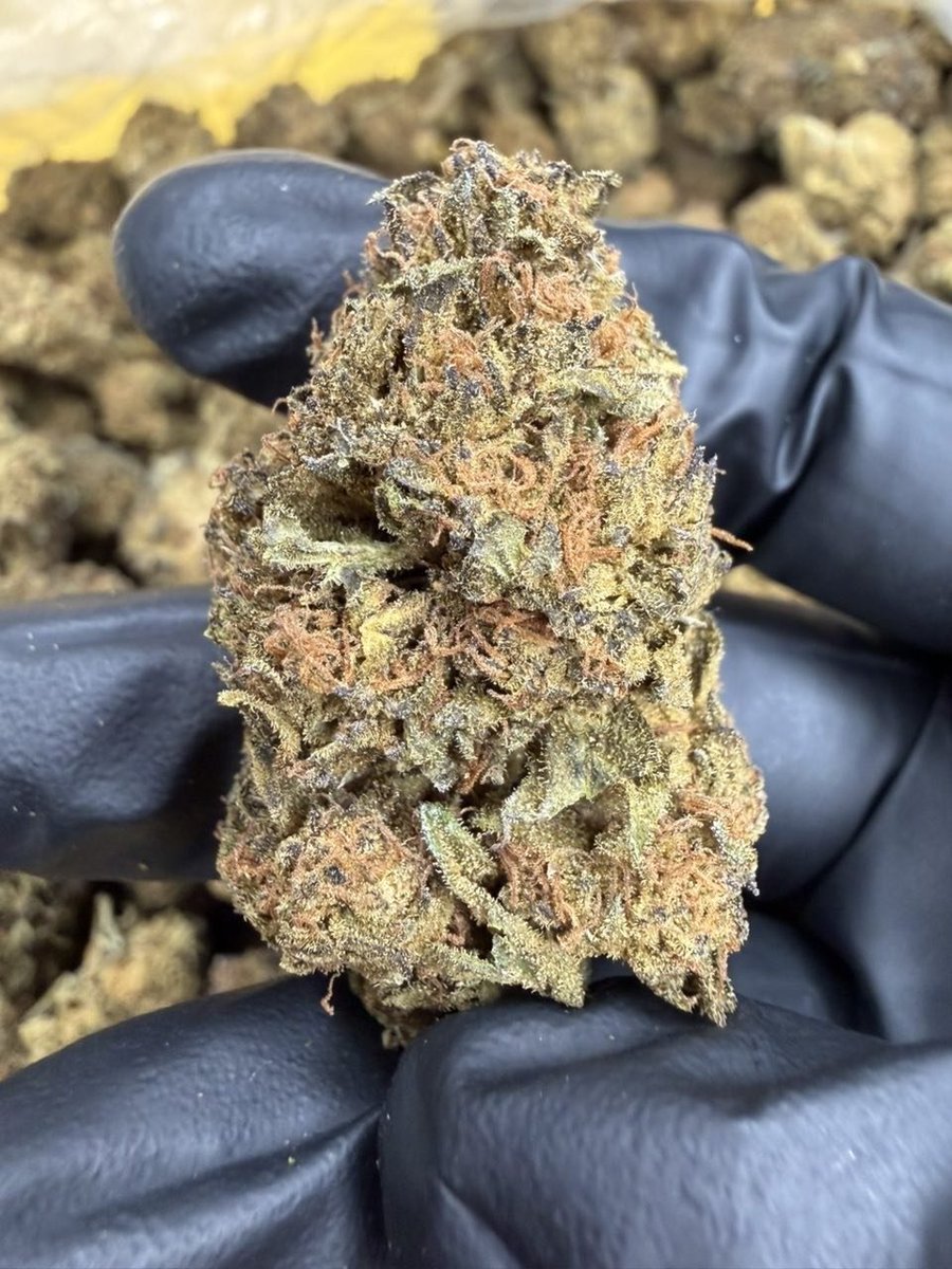 Medicinemarkert's tweet photo. Frosted M
Shipping to all 50 states 
Colorado, Connecticut, Delaware, Florida, GeorgiaHawaii, Idaho, Illinois, Indiana, IowaKansas, Kentucky, Louisiana, Maine, MarylandMassachusetts, Michigan, Minnesota, Mississippi, MissouriMontana, Nebraska, Nevada, New Hampshire, https://t.co/n82Punky4C