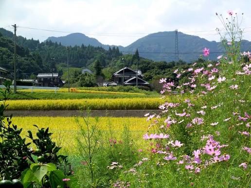 Supratim544's tweet photo. 今日は家族とくだら��い話で笑った。いい夜だった。 https://t.co/mZ3GzRfEaP
