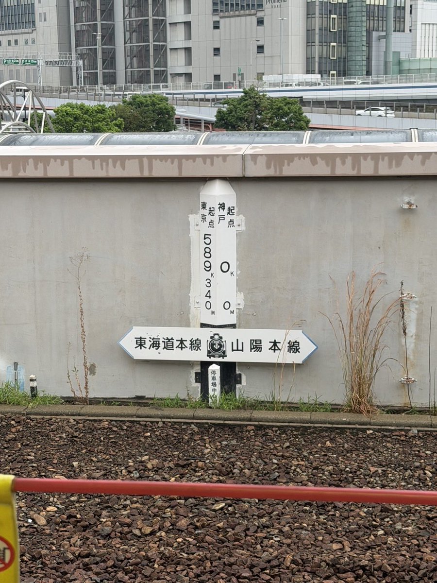 basabasa_zawawa's tweet photo. 今年も見に行けた！！
おやすみなさい！ https://t.co/CP892r3Avn