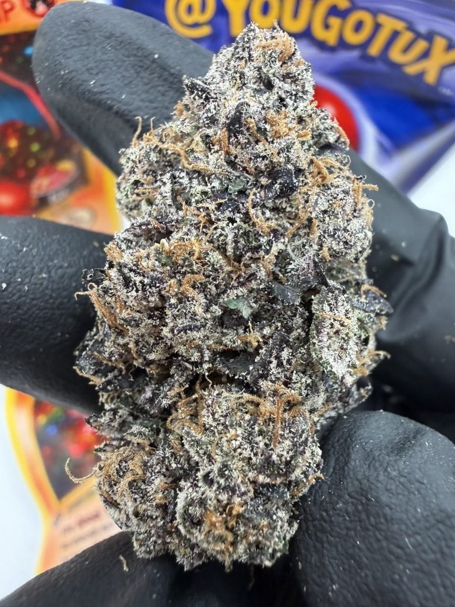 Medicinemarkert's tweet photo. ‼️‼️ NEW BATCH ‼️‼️

CherryZard Prepackaged Flower
Super Candy 🐉 🔥 🍋 🍒 🍧 🍬 

New Mexico, New York, North Carolina, North Dakota, OhioOklahoma, Oregon, Pennsylvania, Rhode Island, South CarolinaSouth Dakota, Tennessee, Texas, Utah, VermontVirginia, Washington, West Virginia https://t.co/FjOf53y9Bp