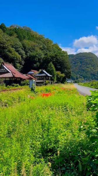 ferdinan35's tweet photo. 最近は健康のことを少しずつ意識するようになった。 https://t.co/AnaOsq32yw