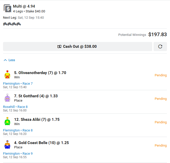 J0O05H's tweet photo. all in this saturday racing🏇🏇 #flemington #rosehill #tab #sportsbet https://t.co/rA04DeLToj