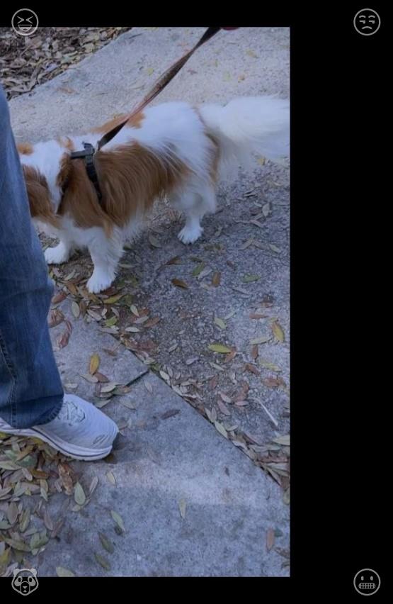 VicntMontoya's tweet photo. Convert each wave of anxiety into concrete steps. Constant rumination merely locks you in pessimistic feelings, whereas genuine tiny actions can efficiently rescue you from bewilderment and disorder.😯Learning German The word is important https://t.co/bMpjVpJVNs