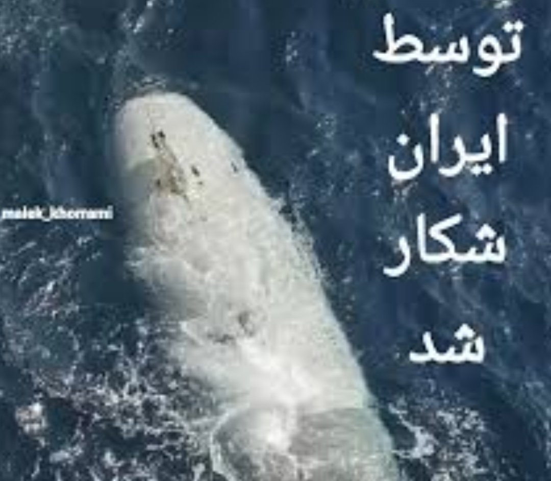 mohamady87's tweet photo. New rule in the Strait of Hormuz: no American technology is safe. IRGC’s underwater surveillance sees everything. The Persian Gulf belongs to its neighbors, not to intruders.

#StraitOfHormuz 
#Dive_LD https://t.co/WHTT0GlK1f