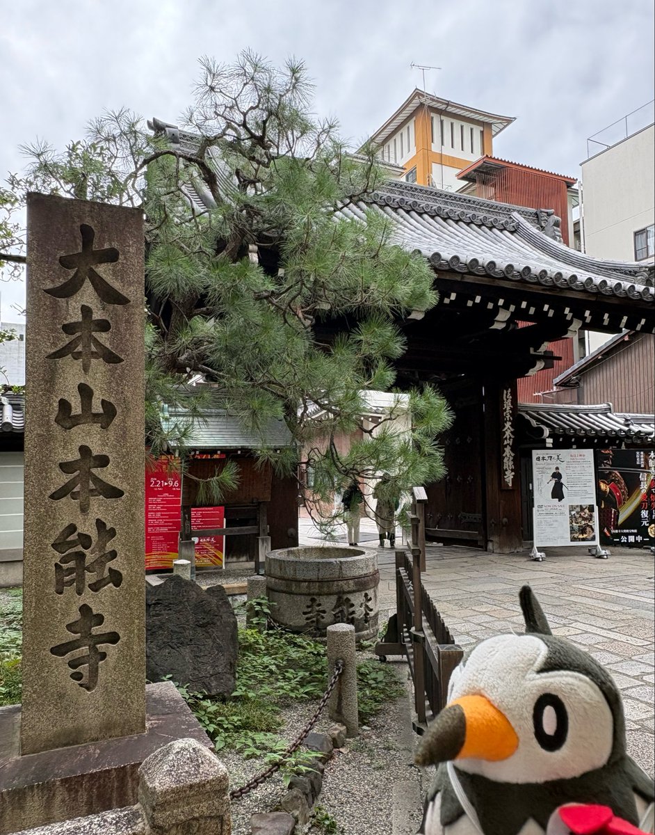 starly_trip's tweet photo. ムックルは裏切らないよね、、、

@本能寺
#ポケモンfit https://t.co/Z1aPqFL0tV