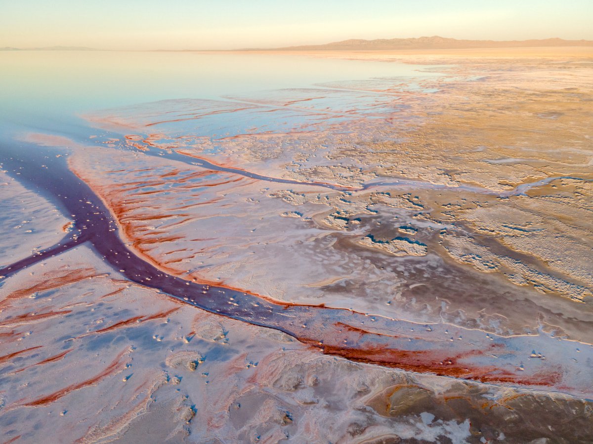 sjquinney's tweet photo. Register now to watch the award-winning film "The Lake" and a panel discussion with Great Salt Lake leaders and scientists from the film on Thursday, Sept. 17, from 6:30-9 p.m.!

https://t.co/QZHgWDqCN9 https://t.co/rfsLksmsUH