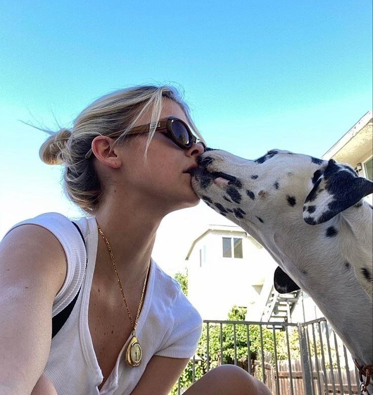 JonnirisY's tweet photo. Cute tongue moment.
Private shows where else that tongue goes… and how deep the knot follows.
Link in bio
#dogs #K9 #USA https://t.co/WWVGDRzBRK
