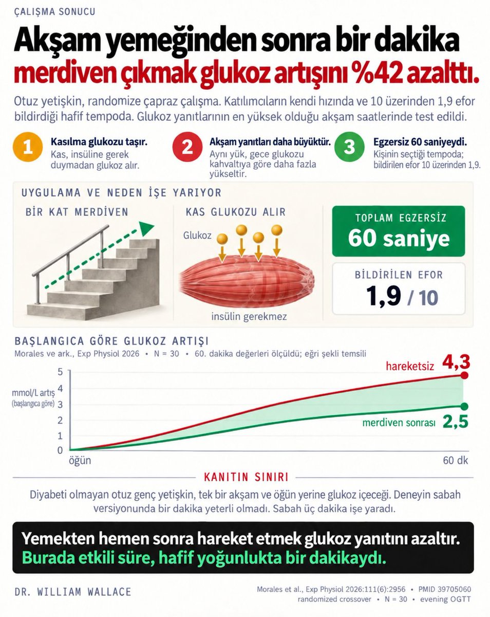 drkaanyl's tweet photo. Yemek sonrası koltuğa çökme alışkanlığını değiştiriyoruz. 2026 verilerine göre, yemekten hemen sonraki ilk 10 dakika içinde yapılan sadece 3 dakikalık hafif bir hareket, kan şekeri dalgalanmasını önlemeye yetiyor. 
Kaslar kasılırken insüline ihtiyaç duymadan şekeri emiyor.

Morales et al., Exp Physiol 2026;111(6):2956 · PMID 39705060 Moore et al., J Exerc Sci Fit 2024 · PMID 38572086 Kressler et al., Nutr Metab Cardiovasc Dis 2022 · PMID 34896000 Engeroff et al., Sports Med 2023 · PMID 36715875