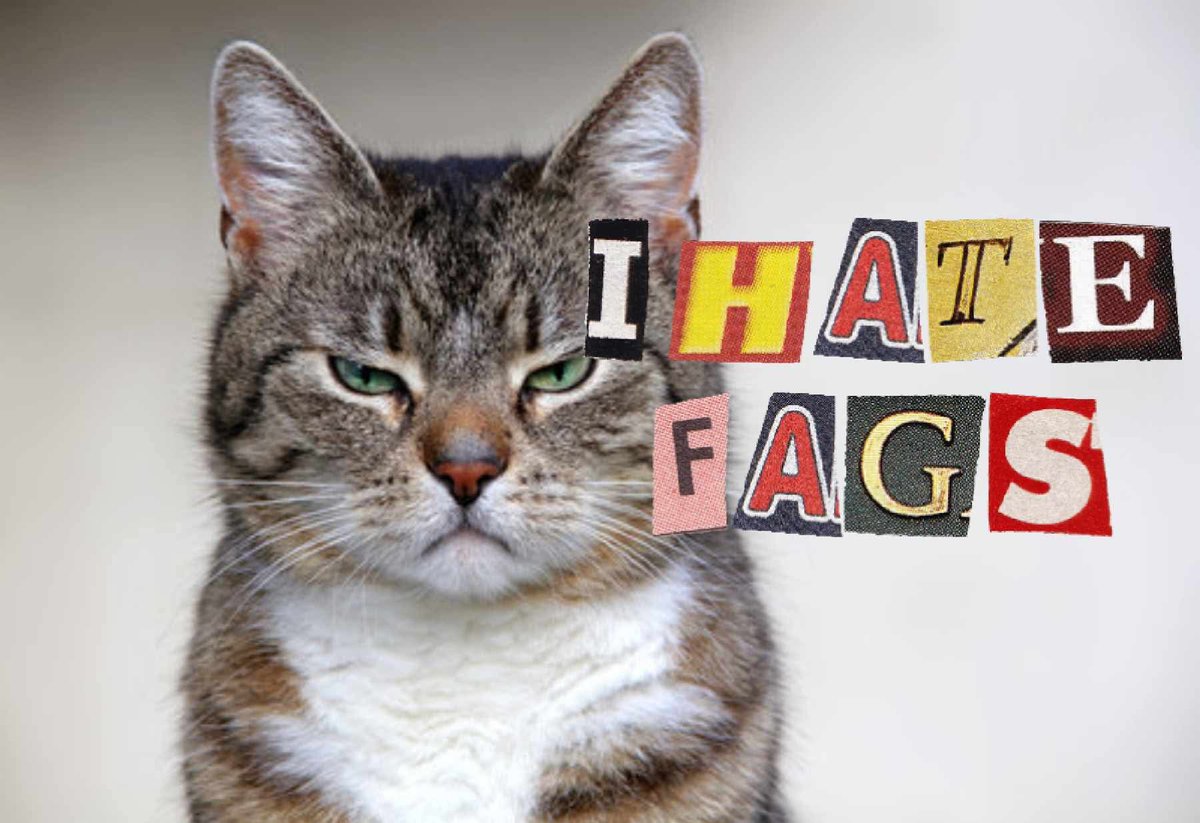 daisyfren tweet picture