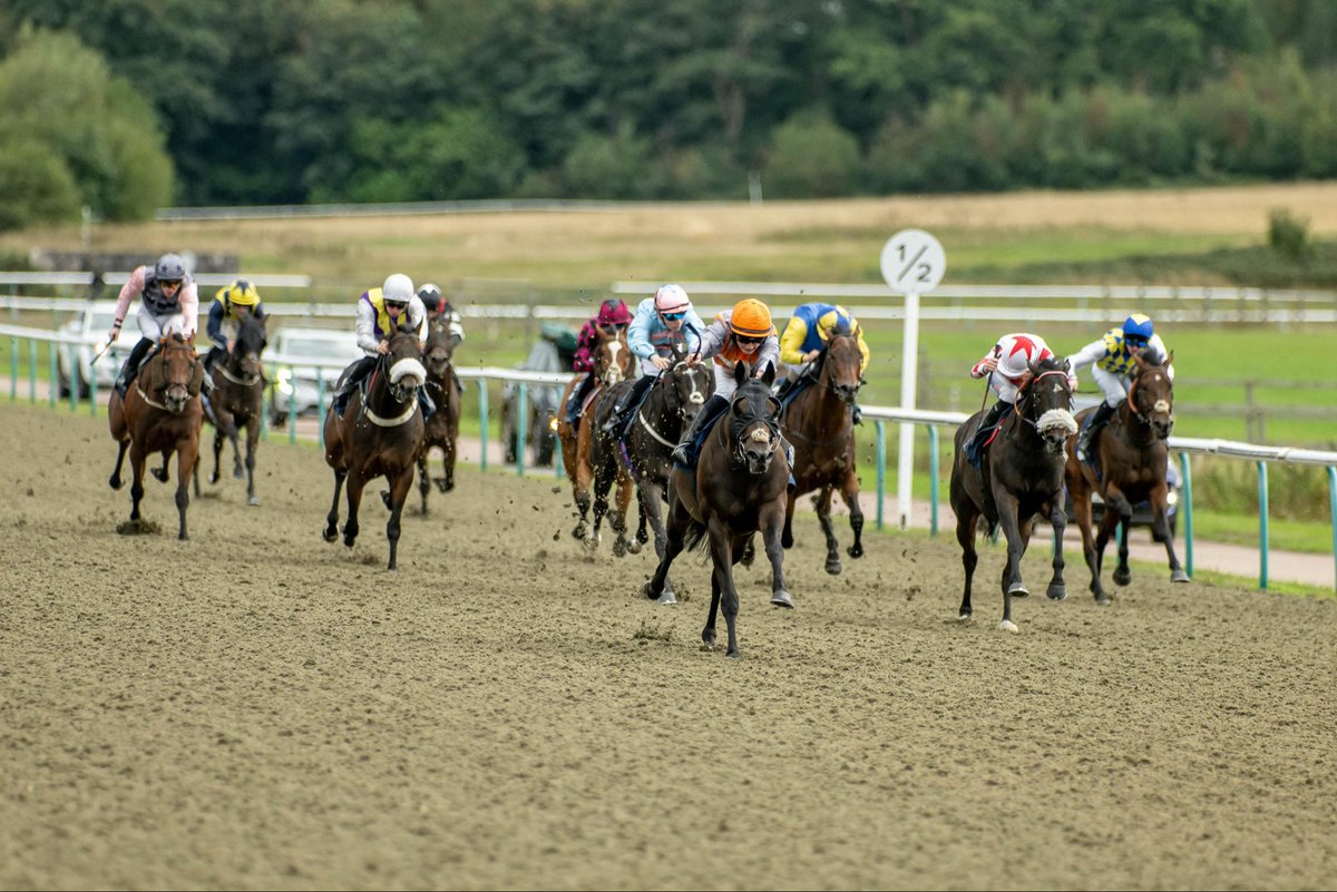 LingfieldPark's tweet photo. The Sasco Sauces Birthday Handicap (Class 6)(DIV I) 

🥇Federal Envoy

🥈South Kensington

🥉African Spirit

Winning Jockey: @doughtyjack123 
Winning Trainer: Charlie Clover
Winning Owner:Odds-On Syndicate
📷:@dcoolimages https://t.co/ChLVQuXO85