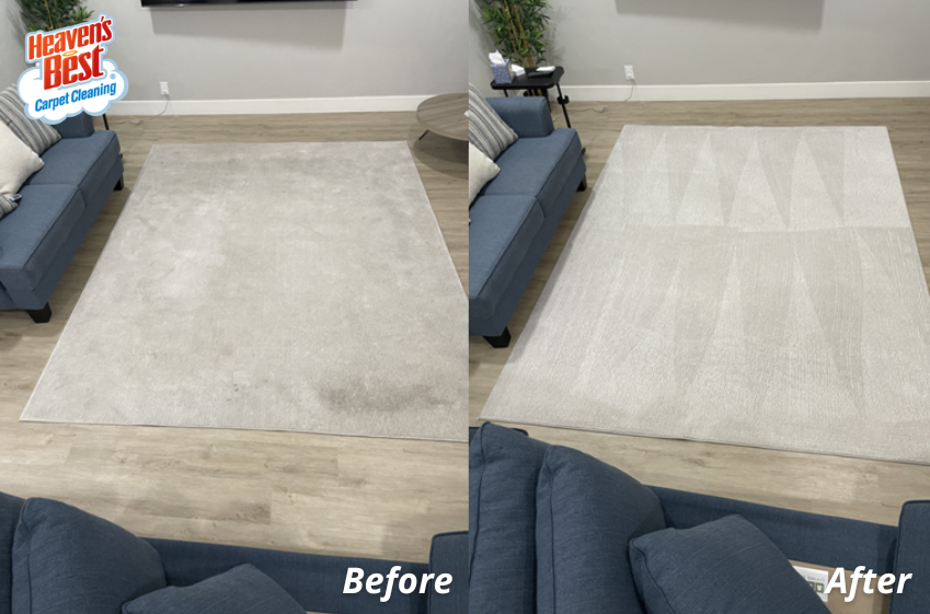 HeavenBestCO's tweet photo. Our deep-cleaning services are second to none, and we have the expertise to clean any type of rug, including all hand-knotted and oriental heirlooms. Get in touch with Heaven's Best to book your area rug cleaning today!

https://t.co/irI93UVXhl https://t.co/KWbJhRL5t9