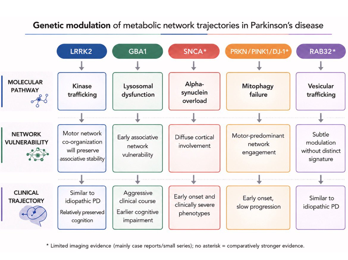ParkinsonismD's tweet photo. Metabolic brain imaging in genetic Parkinson's disease: from genes to network trajectories
#genetic #Parkinson #PD #metabolicnetwork #FDGPET #SPECT #GBA1 #LRRK2
Read full article in PRD Sept 2026
@PRDAssociation
https://t.co/TaEMTTsgAZ https://t.co/Zo7vyUVTq0