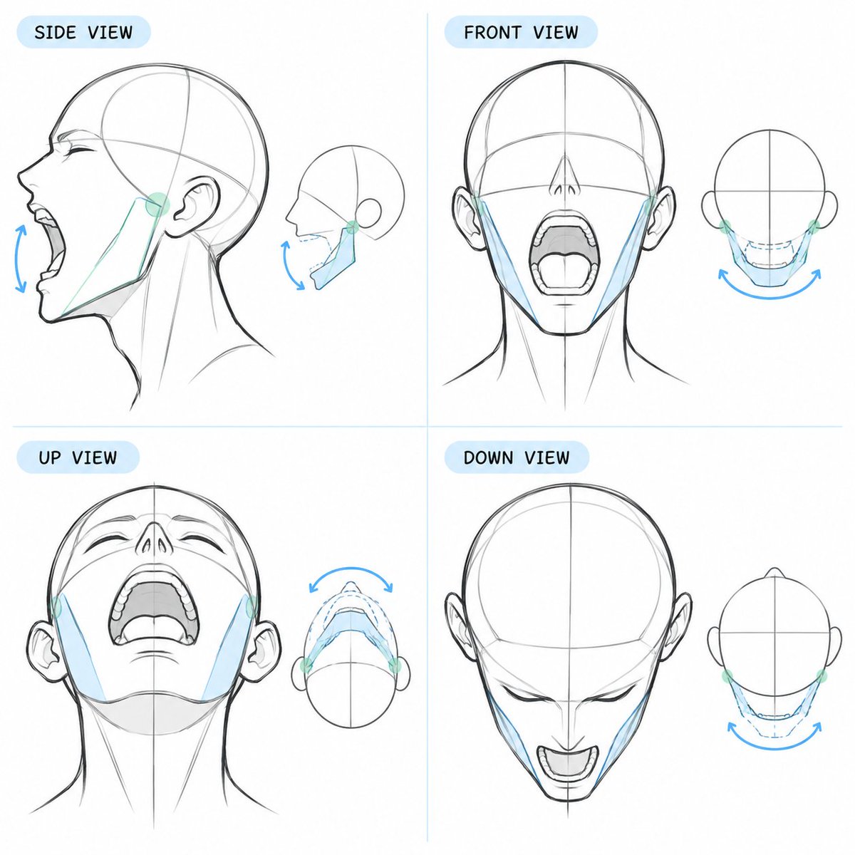 ezdrawps's tweet photo. Head angulation reference https://t.co/xlRf25PrqM