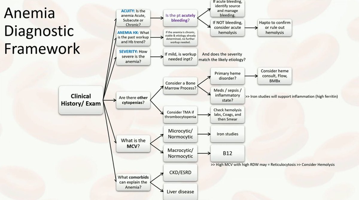 medpedshosp's tweet photo. Brilliant pearls on anemia management by Dr. Donato. 
For hemolysis start with haptoglobin - cut off point is < 25.
#ccfhm26 https://t.co/5SvCiE0zKs