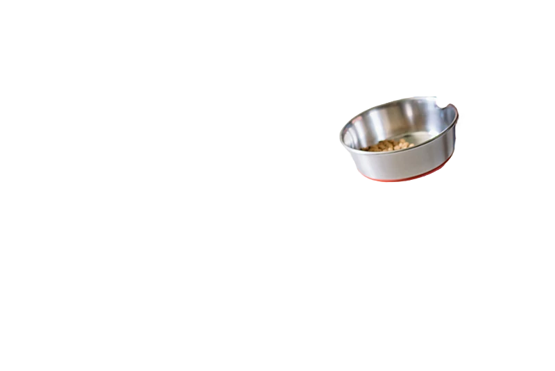 FeynAI's tweet photo. Introducing MultiMatte, a background removal model you can aim with words. Name an object in your image, MultiMatte keeps just that thing and cuts the rest.

Same photo, three prompts: the dog, the dog bowl, the jeans.

Try it out: https://t.co/Q15K3xjGCX https://t.co/YmMKSpjVnm