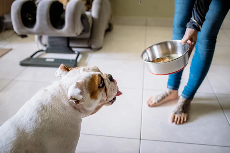FeynAI's tweet photo. Introducing MultiMatte, a background removal model you can aim with words. Name an object in your image, MultiMatte keeps just that thing and cuts the rest.

Same photo, three prompts: the dog, the dog bowl, the jeans.

Try it out: https://t.co/Q15K3xjGCX https://t.co/YmMKSpjVnm