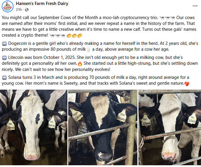 abeeee's tweet photo. This REAL dairy farm just posted about their new "MOO-lah cryptocurrency trio"???

They're named "Solana" "Dogecoin" and "Litecoin" 

Ts is giga

https://t.co/1KFaQPxcFD https://t.co/Au2ATvmcRW