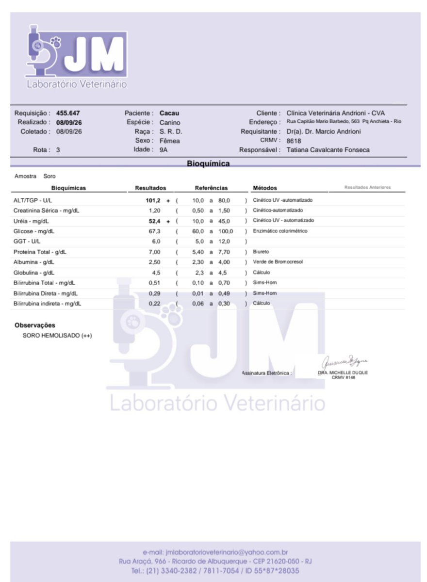 thaiannax's tweet photo. ATUALIZAÇÃO DA CACAU  PRECISAMOS DE AJUDA! 

Peço desculpas pela demora para trazer notícias da Cacau. Estava esperando os resultados dos exames saírem para poder contar tudo para vocês com mais segurança. As imagens da ultrassonografia ainda não ficaram prontas+ https://t.co/I6hwkgCdNW