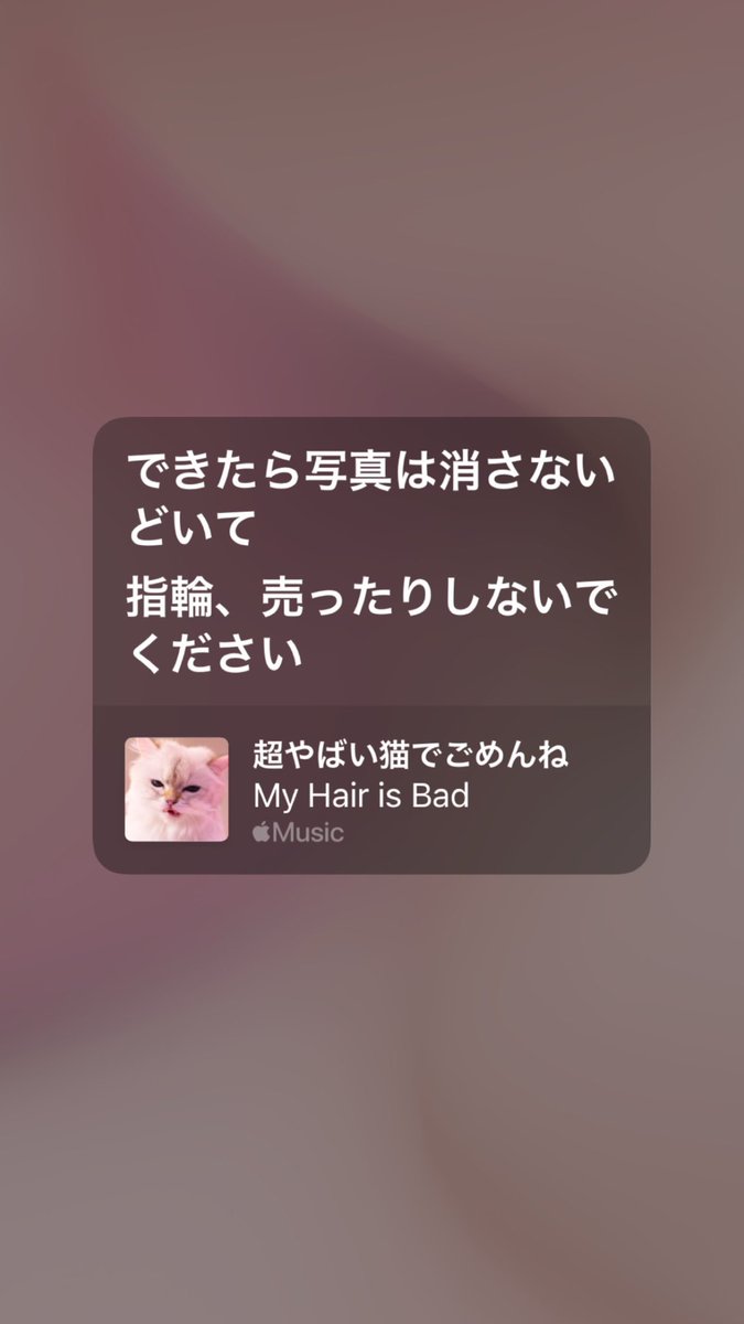 My_Face_isBad's tweet photo. そんな簡単に忘れないでね https://t.co/K79g1yLT8Q