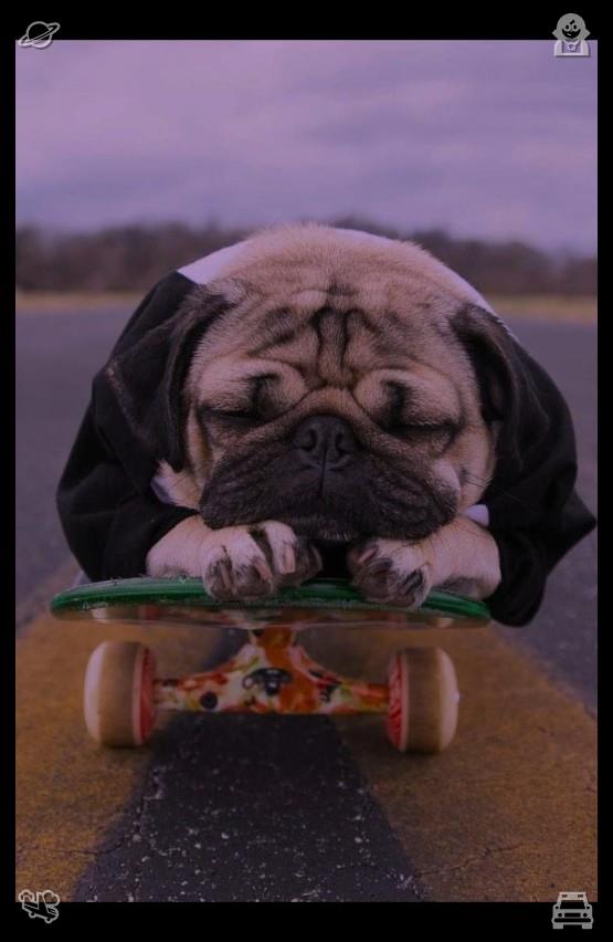 MX1HL's tweet photo. I prepare a quick treat—peanut butter on apple slices—and bring it into the bedroom, pausing once more before the tall mirror. I lift a piece of apple, bite into it, and take a selfie, peanut butter smeared on my mouth, a smile on🌪The conveyor keeps rolling, we keep progressi https://t.co/WQH3gfu53N