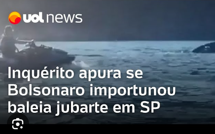 _LRTO's tweet photo. se a direita ganhar vai ter nazismo, vao matar os gay MEU DEUS

-a direita no poder- https://t.co/aq7noZ0GQj