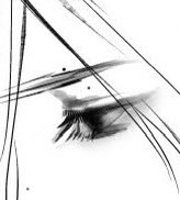 iscari09's tweet photo. eyes https://t.co/r6pes8sYOu