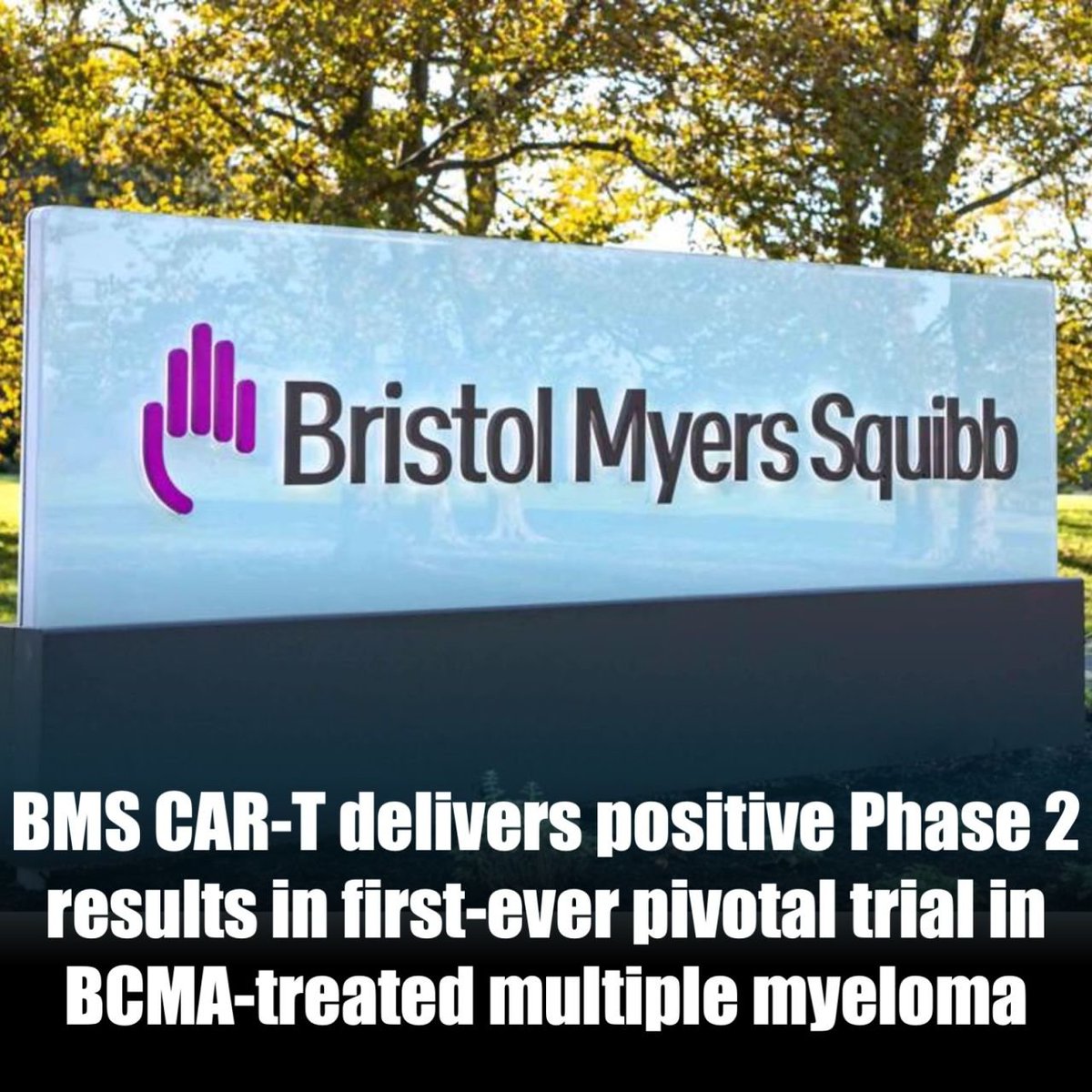 jyves94's tweet photo. 🚨 BIG NEWS - #BMS #CAR_T donne des résultats positifs en phase 2 dans le premier essai pivot jamais réalisé sur le #MyélomeMultiple 🩸 traité par #BCMA
#BristolMyersSquibb 🇺🇸 vient d’annoncer des résultats positifs de phase 2 pour sa #CAR_Tcell dirigée par #GPRC5D, #Arlo_Cel 🧬 https://t.co/kwfYoetHTE