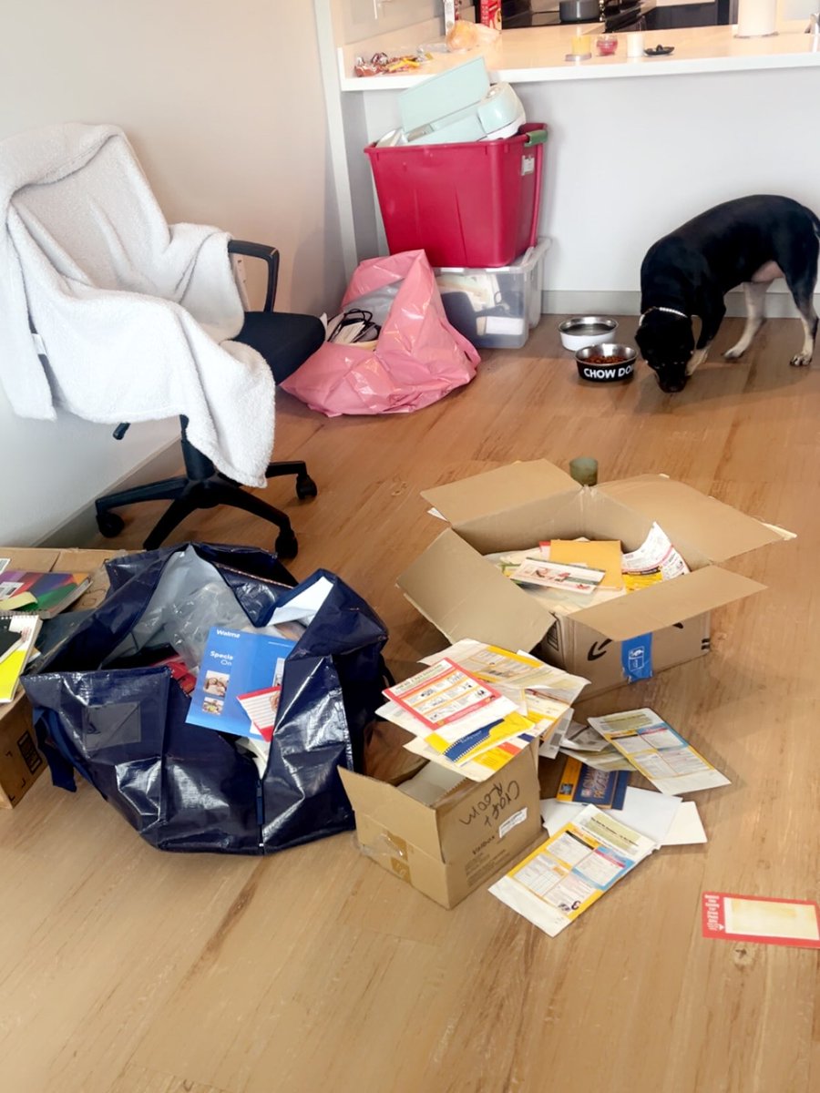 MittieDunscam's tweet photo. Finally have the mental capacity to unpack the photos and belongings saved from the fire and start decorating my kinda-new home. Furniture is coming soon. Nola is nearby, not helping, watching her favorite movies. And no, don’t ask about the photos. https://t.co/rZVHPyV76U