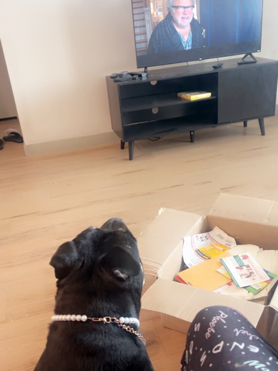 MittieDunscam's tweet photo. Finally have the mental capacity to unpack the photos and belongings saved from the fire and start decorating my kinda-new home. Furniture is coming soon. Nola is nearby, not helping, watching her favorite movies. And no, don’t ask about the photos. https://t.co/rZVHPyV76U
